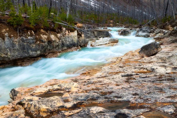 Marble Canyon i Kootenay nasjonalpark, Britisk Columbia – stockfoto