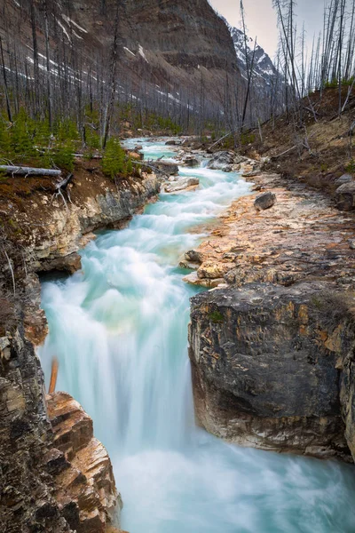 Marble Canyon in Kootenay National Park, British Columbia — Stock Photo, Image