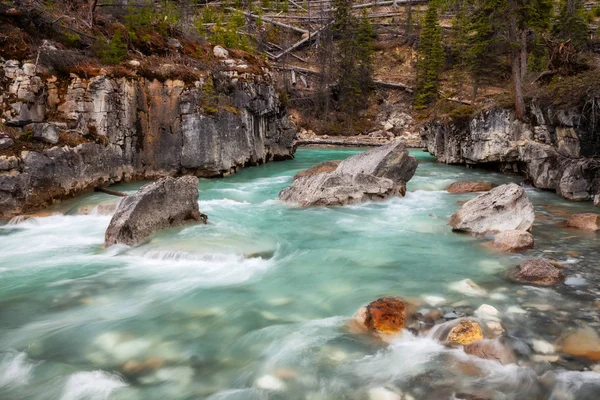 Marble Canyon i Kootenay nasjonalpark, Britisk Columbia – stockfoto
