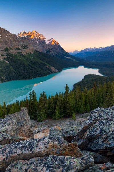 Lago Peyto en el Parque Nacional Banff, Alberta al amanecer — Foto de Stock