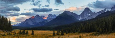 KANANASKIS Kanada kayalık dağlarında dağ çayır