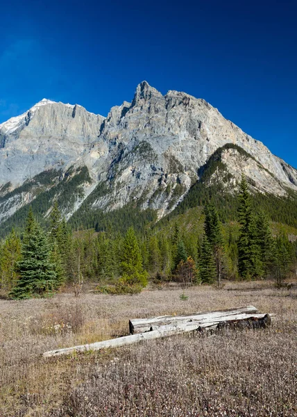 British Columbia bir sonbahar gününde Rocky Dağları