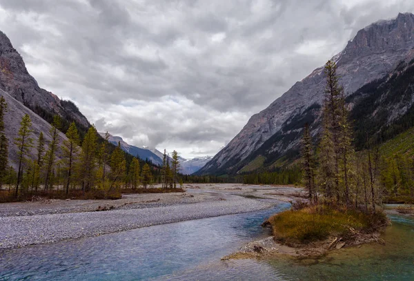 Mountain River in the Canadian Rocky Mountains, British Columbia