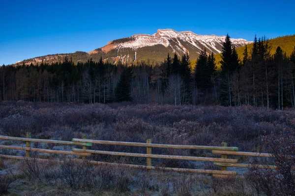 Деревянный забор на лугу в Канадских Скалистых горах — стоковое фото
