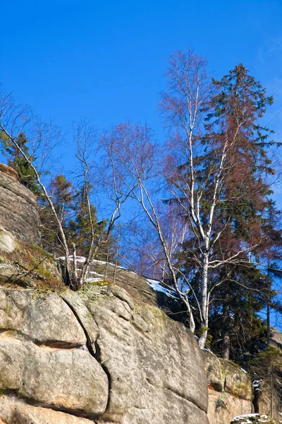 La formación de rocas se conoce como las paredes de Broumov cerca de Bromov en Chequia —  Fotos de Stock
