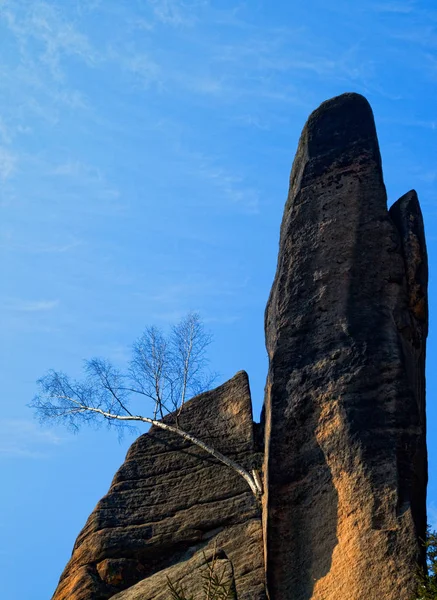 Broumov duvarları Bromov Çekya yakınındaki kaya oluşumu bilir