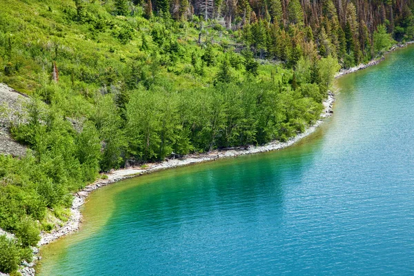 Skogsklädda kustlinje Saint Mary sjön i Glacier National Park, Montana — Stockfoto