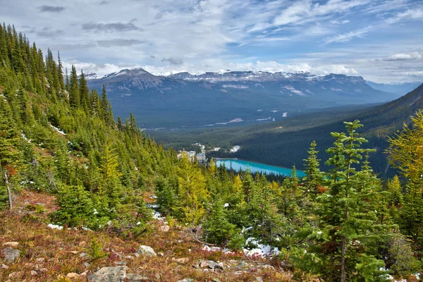 Gula larches hösten ovanför Lake Louise i Banff National Park, Alberta — Stockfoto