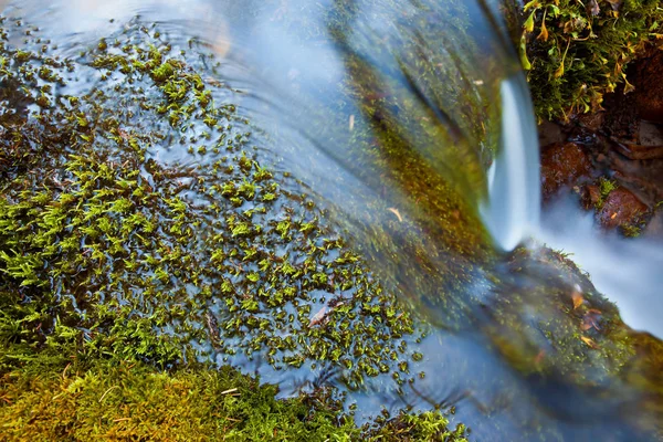 Маленький горный ручей в окружении мха — стоковое фото