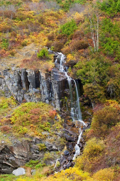 Uma cachoeira em uma encosta coberta de árvores coloridas de outono e arbustos — Fotografia de Stock