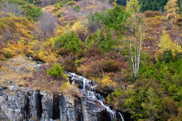 Una cascata su una collina coperta di alberi e arbusti autunnali colorati — Foto Stock