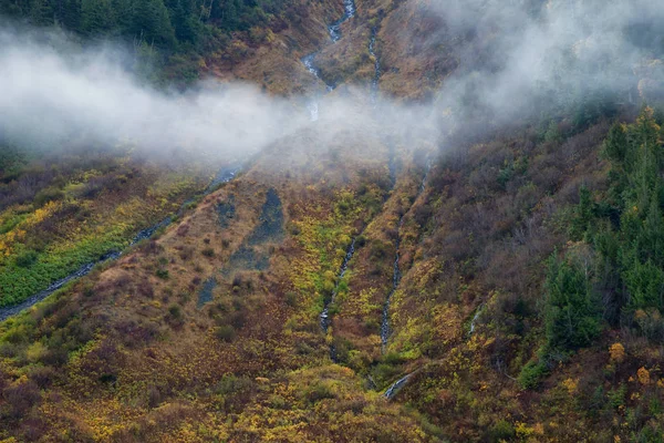 A mountain side covered in colorful autumn trees and shrubs