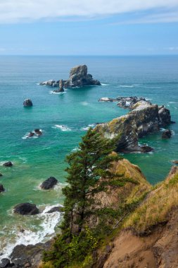 Seastacks topu Beach yakınındaki Oregon kıyılarında