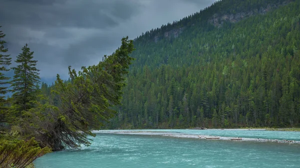 A cold glacial fed river in the forests of interior British Columbia — Stock Photo, Image