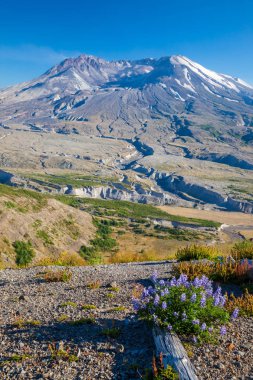 Bir görünümü yanardağ, Mount Saint Helens, Washington