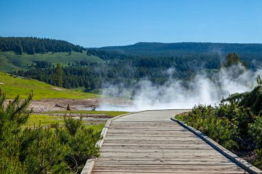 Dumanı tüten bir termal alan Yellowstone Milli Parkı'nda