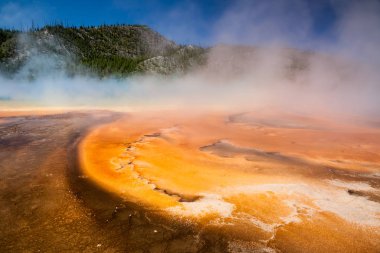 Grand Prizmatik bahar Yellowstone Milli Parkı'nda