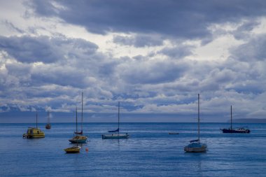 Coast Vancouver Island'ın, British Columbia bir Marina deniz araçları kapalı