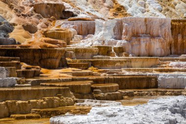 Yellowstone Ulusal Parkı 'nda Mamut Kaplıcaları