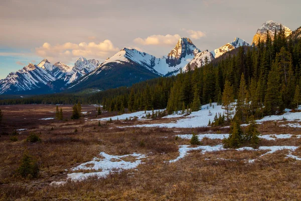 Στα βουνά και ένα λιβάδι στο Kananaskis Αλμπέρτα — Φωτογραφία Αρχείου