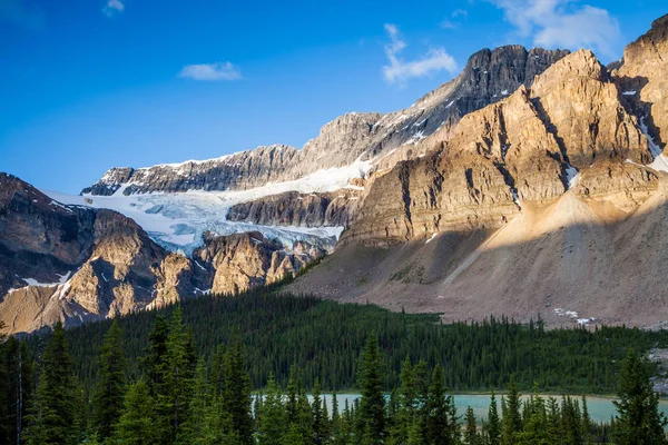 Bow Lake and the Crowfoot Clacier in Banff National Park, Alberta — Stock Image Bow Lake and the Crowfoot Clacier in Banff National Park, Alberta Royalty Free Stock Photos