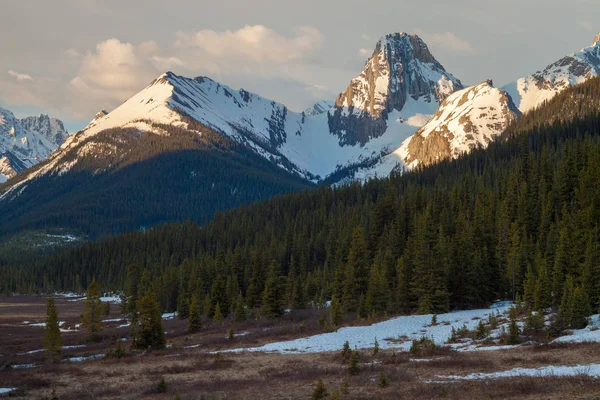 Die berge und eine wiese in kananaskis alberta — Stockfoto