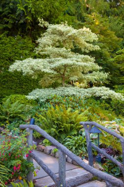 Güzel bir bahçe park ile bir iz