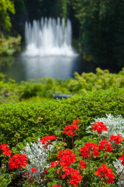 Bir flowerbed su çeşme önünde