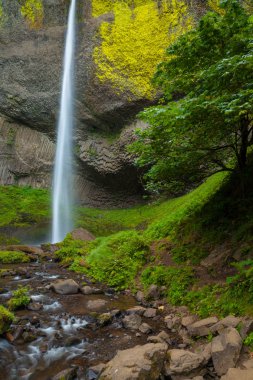 Latourell Falls Columbia River Gorge, Oregon