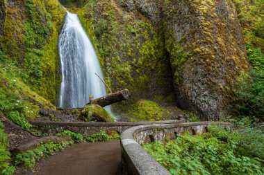 Bir yürüyüş iz ve Columbia River Gorge bir şelale