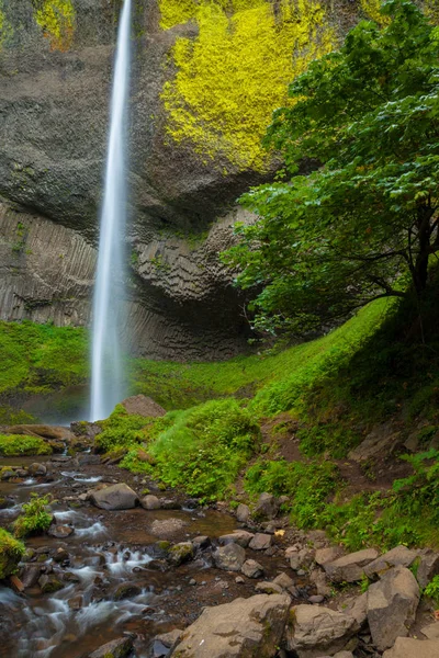 Latourell Falls no desfiladeiro do rio Columbia, Oregon — Fotografia de Stock