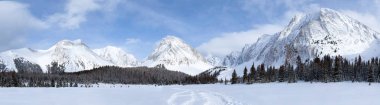 Mount Chester yakınındaki KANANASKIS kışın