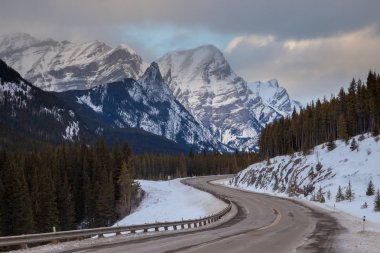 Yolu 40 Peter Lougheed Provincial Park, KANANASKIS, Kanada Rocky Dağları, Alberta boyunca soğuk kış günü