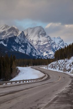 Yolu 40 Peter Lougheed Provincial Park, KANANASKIS, Kanada Rocky Dağları, Alberta boyunca soğuk kış günü