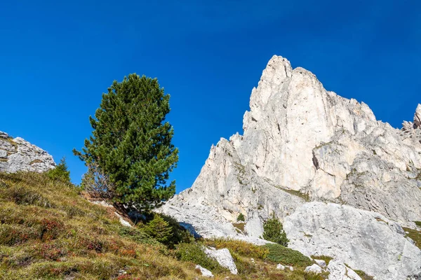 Kuzey İtalya Dolomites Cinque Torri çevresinde hiking — Stok fotoğraf