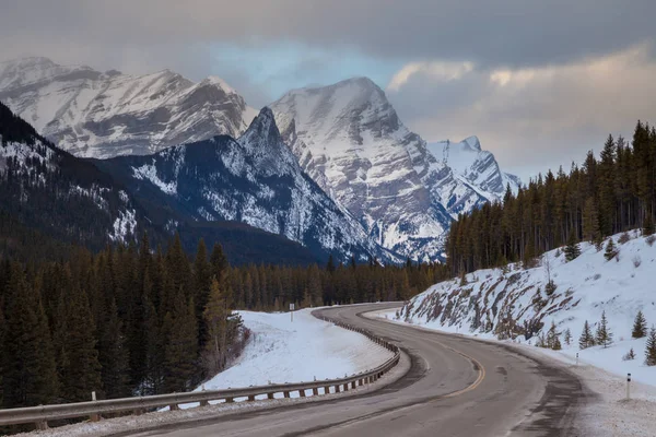 고속도로 40 피터 Lougheed 공원, 레이크 루이스, 캐나다 록 키 산맥, 앨버타에 따라 추운 겨울 날 — 스톡 사진