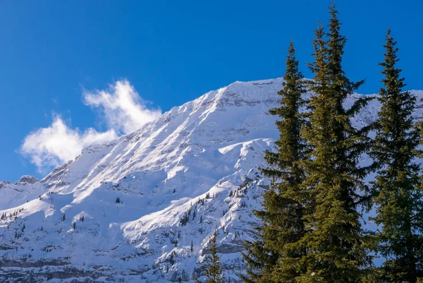 Une montagne enneigée par une journée d'hiver bleu clair dans les montagnes au Black Prince Cirque à Kananaskis, Alberta — Photo