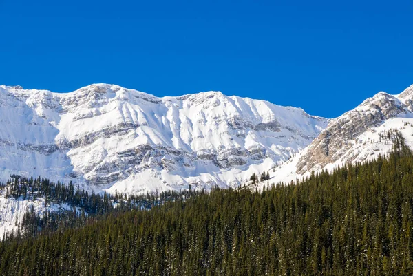 Una montaña cubierta de nieve en un claro día azul de invierno en las montañas en Black Prince Cirque en Kananaskis, Alberta —  Fotos de Stock