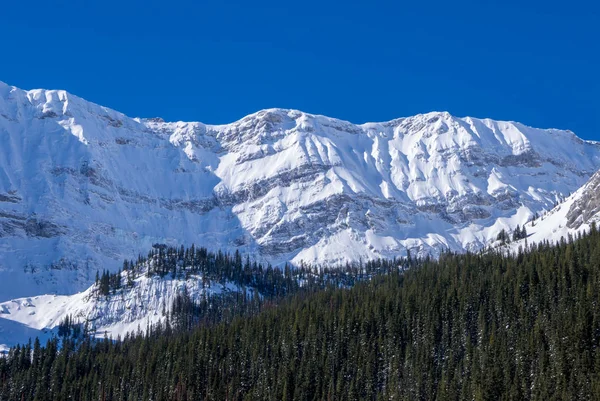 Una montaña cubierta de nieve en un claro día azul de invierno en las montañas en Black Prince Cirque en Kananaskis, Alberta —  Fotos de Stock