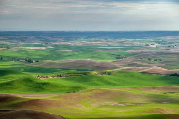 Letecký pohled na zemědělské půdy v oblasti státu východní Washington Palouse — Stock fotografie