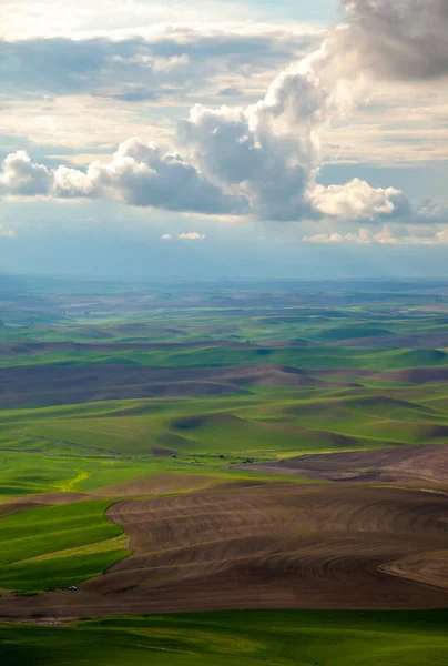 Vista aérea das terras agrícolas na região de Palouse, no estado de Washington Oriental — Fotografia de Stock