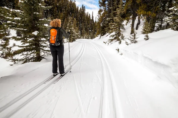 Een jonge vrouw cross country skiën in Peter Lougheed Provincial Park, Alberta — Stockfoto