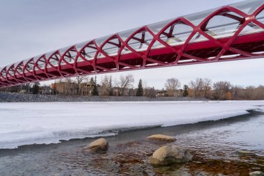 Calgary, Alberta, Kanada-19 Mart 2013: Şehir Calgary, Alberta dondurulmuş Bow Nehri üzerinde barış Köprüsü
