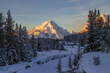 Kananaskis, Alberta'daki Spray Valley Provincial parkında Nestor Dağı'nda gün batımı