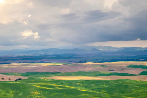 Vista aérea das terras agrícolas na região de Palouse, no estado de Washington Oriental — Fotografia de Stock