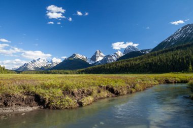 Bir dere ve dağlar KANANASKIS Alberta