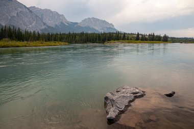 Kanada Rocky Dağları'ndaki Bow Valley Provincial Park'taki Yamnuska Dağı ve Bow Nehri