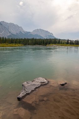 Kanada Rocky Dağları'ndaki Bow Valley Provincial Park'taki Yamnuska Dağı ve Bow Nehri