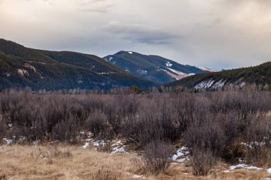 Kanada Rocky Dağları,Alberta eteklerinde kasvetli bir bulutlu sonbahar günü