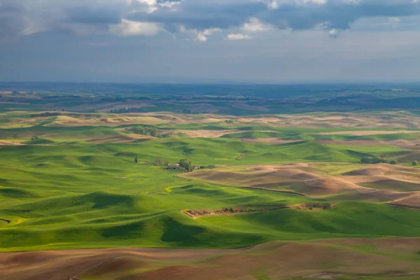 Letecký pohled na zemědělské půdy v oblasti státu východní Washington Palouse — Stock fotografie